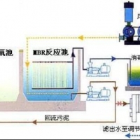 屠宰废水处理技术解析